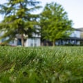 Why Are Grass Cutting Services Essential For Properties Before Listing In The Real Estate Buyer's Market In Derry, NH?