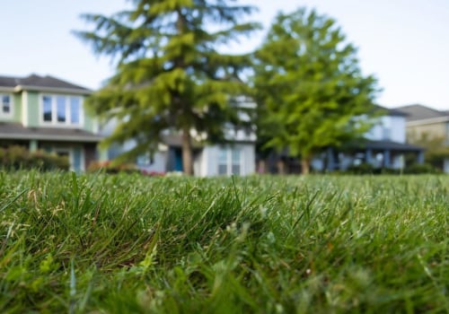 Why Are Grass Cutting Services Essential For Properties Before Listing In The Real Estate Buyer's Market In Derry, NH?